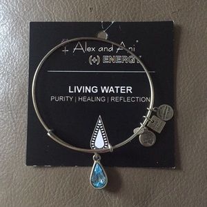 Alex and Ani Silver Living Water Bracelet